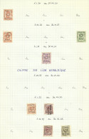 Belgique Lot Préoblitérés - Typos 1951-80 (Chiffre Sur Lion)