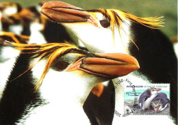 AUSTRALIA MAXICARD ANTARCTIC TERRITORY PENGUINS BIRD $1 STAMP DATED 07-08-2007 CTO SG?READ DESCRIPTION!! - Cartas & Documentos
