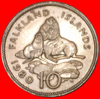 * GREAT BRITAIN ADDITIONAL CHAMFER ★ FALKLAND ISLANDS ★ 10 PENCE 1980 TYPE 1974-1992!LOW START★NO RESERVE!!! - Falkland