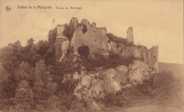 MOLIGNEE : Ruines De Montaigle - Onhaye