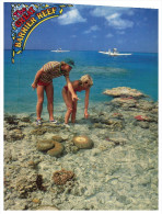(199) Australia - QLD - Great Barrier Reef - Great Barrier Reef