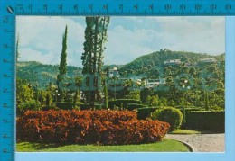 PetionVille Haiti  ( St. Peter's Placer )  Postcard Carte Postale Recto/verso - Haïti