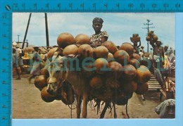 Haiti  ( Calabashes Or Gourds Seller )  Postcard Carte Postale Recto/verso - Haiti