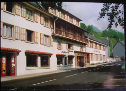Saint Jacques Des Blats  (15) - Hotel "au Cahlet Fleuri" - Autres Communes