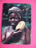 Cocoa Pod - Nigeria