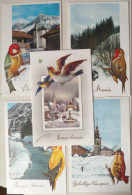 Cp Lot 5x Serie Photo Montage Litho Oiseau Couleur Sur Decor Paysage Montagne Village Riviere Neige - Collections & Lots