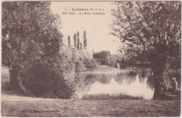 Delcampe - Louhans (S. Et L.) Joli Coin - Le Beau Château - Louhans
