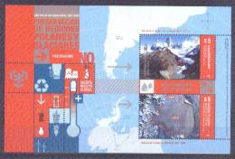 Argentina 2009 BF14 Proteccion De Zonas Polares Y Glaciares. See Description. - Blocks & Sheetlets