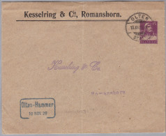 Heimat CH SO OLTEN HAMMER1920-11-10 Bahnstationstempel  Auf GS Aus Romanshorn - Bahnwesen
