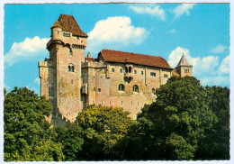 2) AK 2344 Maria Enzersdorf Am Gebirge Burg Liechtenstein Wienerwald Österreich Niederösterreich Austria Autriche - Maria Enzersdorf