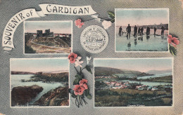 SOUVENIR OF CARDIGAN - Cardiganshire