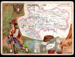 Aux Deux Passages, Nouveautés - Lyon. Pays D'Europe : L'Autriche. Carte Et Principales Ressources. - Other