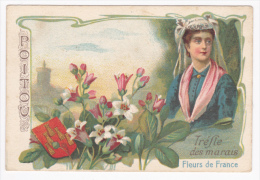 Image Illustrée 7.1 X 10.5 - Collection "Fleurs De France", Le Trèfle Des Marais, Poitou (Poitevine, Trèfle, Blason) - Sammlungen