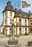 LUXEMBOURG  CARTE MAXIMUM  NUM-YVERT  1151 TOURISME WITZ - Cartes Maximum