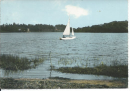 JUGON (22. C.-du-N.) - Les Bords De L'Etang - Jugon-les-Lacs