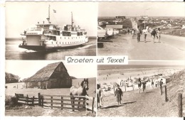 Texel - Texel