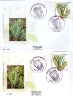 MAYOTTE 2010 Carte Enveloppe 1er Jour Epiphytes Benara - Other & Unclassified