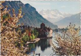 SUISSE,SWITZERLAND,SWISS, HELVETIA,SCHWEIZ,SVIZZERA ,MONTREUX ,VAUD,RIVIERA PAYS D´ENHAUT,chateau Chillon,lac Léman - Montreux