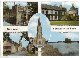 CPSM OUZOUER SUR LOIRE (Loiret) - Souvenir De.......5 Vues - Ouzouer Sur Loire