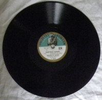 Disque Vinyle 78T VERLOR Et DAVRIL L'Ile Des Cocotiers Mam'zell' Souris 78 Tours Ducretet Thomson Y 8649 - 78 T - Disques Pour Gramophone