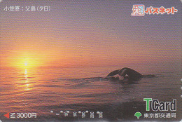 Carte Prépayée Japon - BALEINE & Coucher De Soleil - WHALE & Sunset Japan Prepaid Card - WAL T Karte - 283 - Dolfijnen