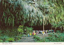 Awe Inspiring Fern Grotto Honolulu Hawaii - Honolulu