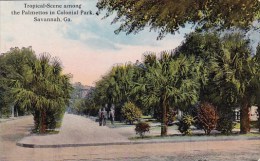 Tropical Scene Among The Palmettos In Colonial Park Savannah Georgia - Savannah