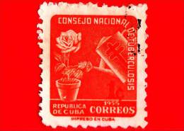 CUBA - Usato - 1955 - Tasse Postali - Rosa E Annaffiatoio - Tubercolosi - 1 ¢ - Oblitérés