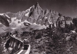 CHAMONIX L'AIGUILLE DU DRU ET L'HOTEL DE MONTENVERS(dil15) - Opere D'Arte