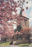 Bosvoorde St Klementius Kerk                Scan 8704 - Watermael-Boitsfort - Watermaal-Bosvoorde