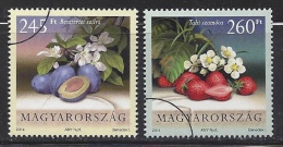 HUNGARY-2014. SPECIMEN  - Fruits / Paintings - Usado