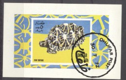 Dhufar 1972 Turtles, Mini Imperf.sheet, Used AI.008 - Oman