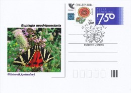 Czech Rep. / Postal Stat. (Pre2006/07cp) Czech Butterfiles: Euplagia Quadripunctaria - Comm. Postmarks (2011 - Praha 1) - Postales