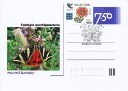 Czech Rep. / Postal Stat. (Pre2006/07cp) Czech Butterfiles: Euplagia Quadripunctaria - Comm. Postmarks (2011 - Praha 1) - Postcards
