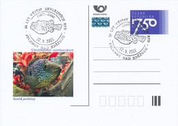 Czech Rep. / Postal Stat. (Pre2006/42cp) Aquarium Fish: "Chichlasoma" Octofasciatum - Commemorative Postmarks - Groenten