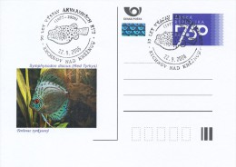 Czech Rep. / Postal Stat. (Pre2006/44cp) Aquarium Fish: Symphysodon Discus (Red Tyrkys) - Commemorative Postmarks - Légumes