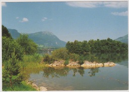 Schwyz-Lac De Lauerz-Lowertzer See-unused,perfect Shape - Lauerz