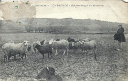 AUVERGNE - 63 - PUY DE DOME - COMBRONDE - UN Pâturage De Moutons - Combronde