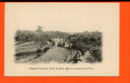 Chargement Des Fûts D'huile De Palme Dans Les Pirogues Porto-Novo - Dahomey