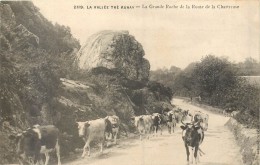 56 La Vallée TRE AURAY - La Grande Roche De La Route De La Chartreuse - Troupeau De Vaches - Auray