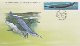 FISH  FISCHE POISSON BLUE WHALE WHALES WAL BALEINE SWA SOUTHWEST AFRICA 1980 Cousteau Society FDC Card Exotic Sea Fauna - Balene