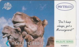 Paytelco, PYWS004, Wildlife, Camels, Unused, 2 Scans.  1PAYD - [ 4] Mercury Communications & Paytelco