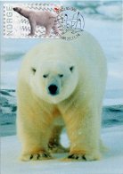 NORWAY / NORVEGE (2014) - Carte Maximum Card - ATM - Ours Polaire / Polar Bear - Nordens Dag Lillestrom Nordia - Automaatzegels [ATM]