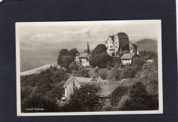 50232   Svizzera,   Schloss  Wildegg,  NV(scritta) - Wildegg