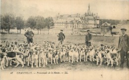 60 CHANTILLY - Promenade De La Meute - Chantilly