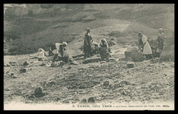 SÃO VICENTE - LAVADEIRAS - ( Ed. G. Hastings Nº 4093A) Carte Postale - Cabo Verde