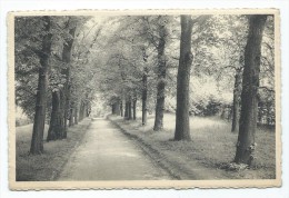 Carte Postale - WOLUWE ST LAMBERT - Parc Communal - ST LAMBRECHT WOLUWE - CPA   // - Woluwe-St-Lambert - St-Lambrechts-Woluwe