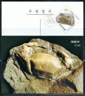 NORTH KOREA 2013 FOSSILS POSTCARD CANCELED - Fossili