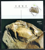 NORTH KOREA 2013 FOSSILS POSTCARD - Fossili