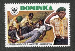 W1914  Dominica 1977   Scott #534**   Offers Welcome! - Dominica (...-1978)